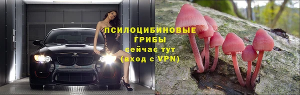 apvp Щигры