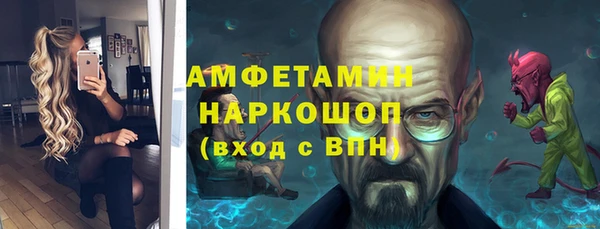 ECSTASY Гусь-Хрустальный