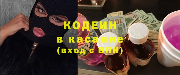 твердый Гусев