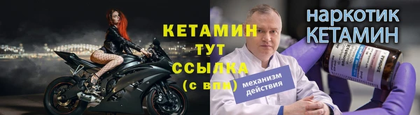 твердый Гусев