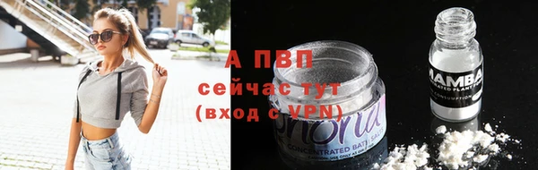твердый Гусев