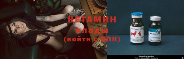 ECSTASY Гусь-Хрустальный