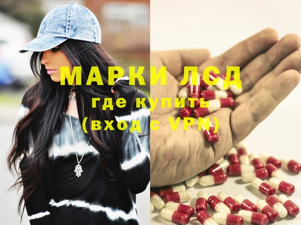 ECSTASY Гусь-Хрустальный