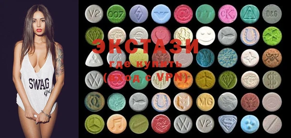 ECSTASY Гусь-Хрустальный