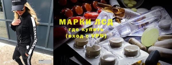 твердый Гусев