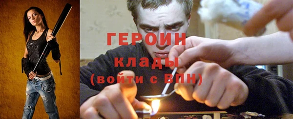 твердый Гусев